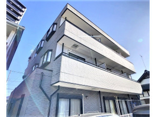 ＳＵＮ　ＦＯＲＴＲＥＳＳ